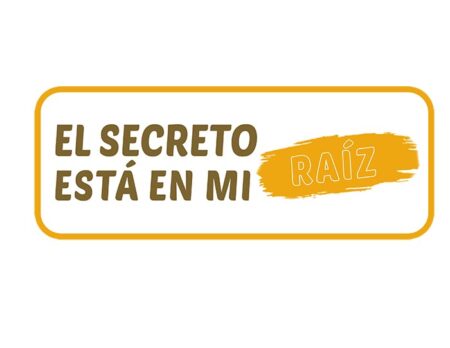 MSR